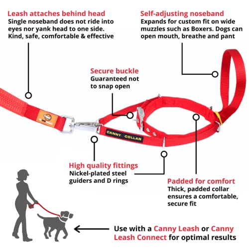 Canny Collar: Collar de Perro Entrenamiento y Collar Antitirones para Perros Grandes o Pequeños, ayuda simple y efectiva con el entrenamiento del perro y evita que los perros tiren de la correa (Rojo)