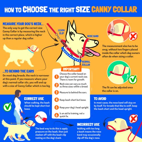 Canny Collar: Collar de Perro Entrenamiento y Collar Antitirones para Perros Grandes o Pequeños, ayuda simple y efectiva con el entrenamiento del perro y evita que los perros tiren de la correa (Morado)