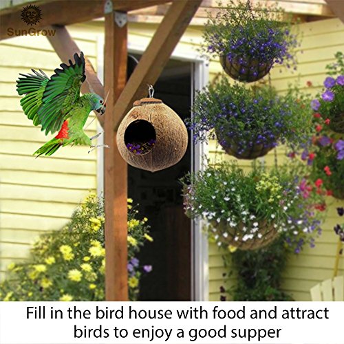 Casa de pájaros de concha de coco natural - Casa de pájaros para jaula o exterior - Finch, parakeet, alimentador ecológico de Sparrows - textura natural fomenta el ejercicio de pie y pico