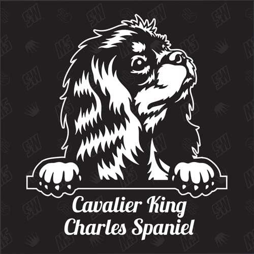 Cavalier King Charles Spaniel Versión 2 - pegatina, pegatina para perro, coche, razas de perros, pegatina, mestizo, mezcla, animales, mascota (también posible con desear)
