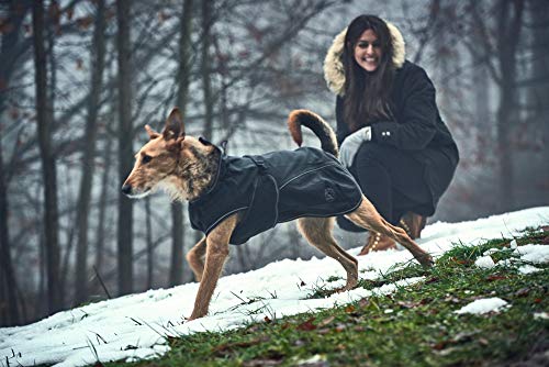 Cazador Uppsala Softshell - Abrigo para Perro, 45 cm, Color Negro