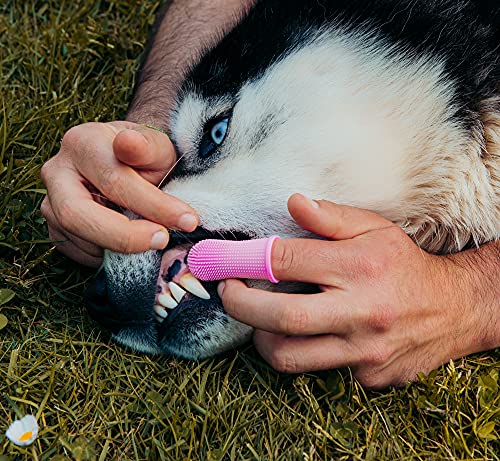 Cepillo de dientes de silicona para perros y gatos 360º (PACK 2 UDS) con diseño ergonómico para dedo - color rosa