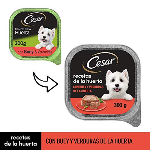 Cesar Comida Húmeda para Perros Sabor Buey y Verduras (Pack de 20 Tarrinas x 300g)
