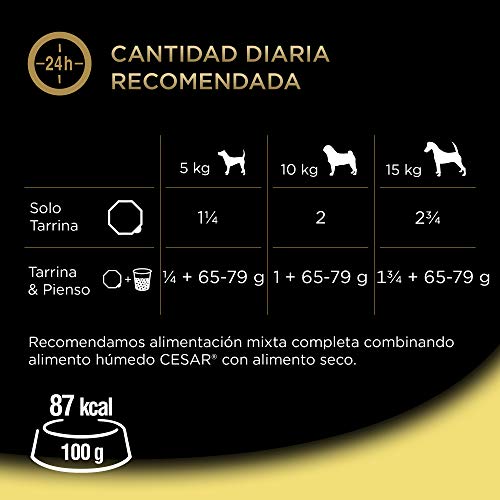 Cesar Comida Húmeda para Perros Sabor Pollo e hígado (Pack de 20 Tarrinas x 300g)