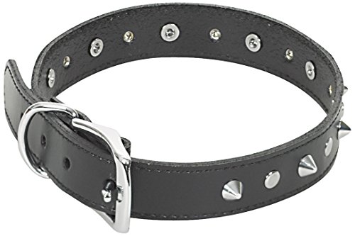 CHAPUIS SELLERIE SLA048, Collar de perro, Piel sintética negra con tachuelas, Ancho 20 mm, Largo 45 cm, Talla M