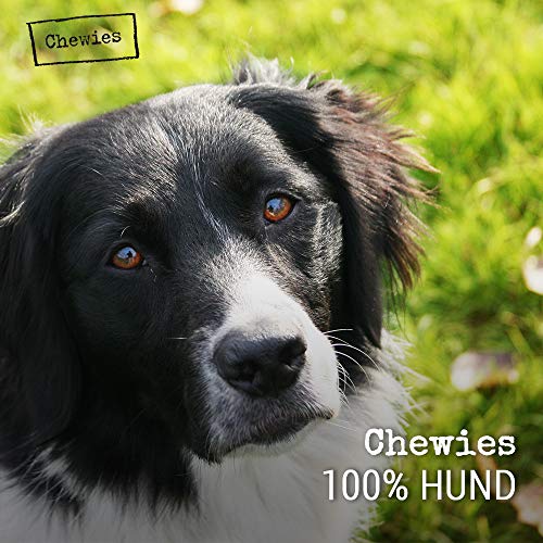 Chewies 019700 Juguete para Perros, de Madera de Olivo, 100% Natural, para Perros, hasta 10 kg, Talla S