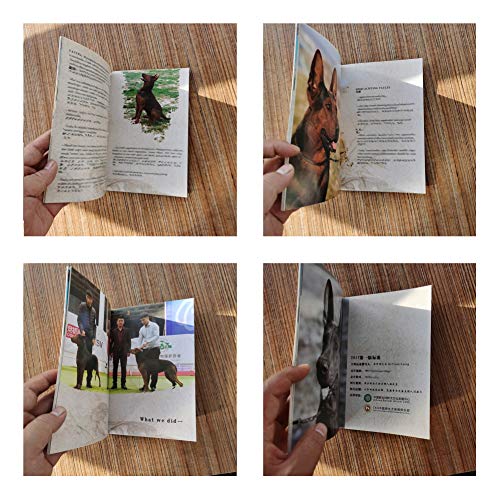 Chinese Red Dog/LAIZHOU Hong Brochure-CKU China Native Breed Conservation CLUB-2017 First Edition Standard,Laizhou Hong brochure