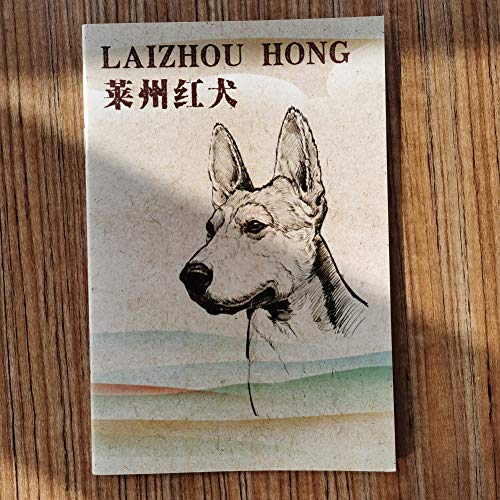 Chinese Red Dog/LAIZHOU Hong Brochure-CKU China Native Breed Conservation CLUB-2017 First Edition Standard,Laizhou Hong brochure