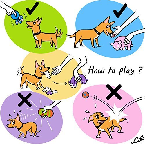 Chiwava Paquete de 3 5.7" Juguete de Latex para Perros Pequeños y Divertidos de Juego Interactivo