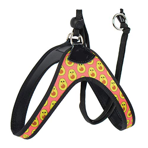 Cinturón de seguridad para perro fácil y cómodo estampado flamenco pequeño cinturón de seguridad para mascotas Chihuahua Shih Tzu Bull Terrier 1.0