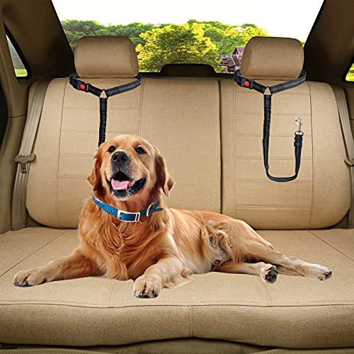 Cinturón de seguridad para perros y gatos con cuenco, cinturón de seguridad para cachorros ajustable para reposacabezas de coche para mascotas, tela de nailon con elástico elástico