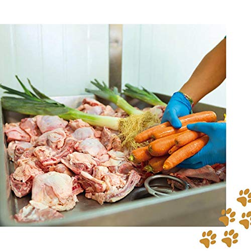 Cocido Natural casero para Perros, húmedo con Carne Fresca y Verduras Frescas - 90% Carne Knatur (12x600gr) (Pollo - Cordero)