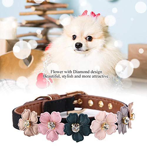 Collar de Flor de Diamante para Perro Mascota, Collar de Hebilla de Collar de Mascota de Cuero de PU Ajustable Collar para Accesorio de joyería de Collar de Cachorro(1.3 * 34cm-Negro)