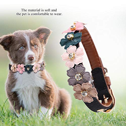Collar de Flor de Diamante para Perro Mascota, Collar de Hebilla de Collar de Mascota de Cuero de PU Ajustable Collar para Accesorio de joyería de Collar de Cachorro(1.3 * 34cm-Negro)