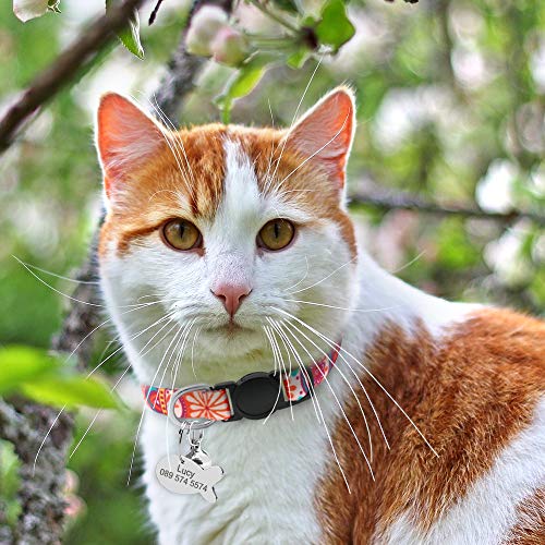 Collar de gato personalizado con placa de nombre – Collares de identificación de gato con timbre – Etiquetas de identificación para mascotas pequeñas grabadas con hebilla de liberación rápida
