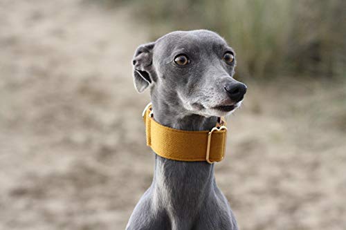Collar de martingala amarillo de mostaza tejida Whippet Greyhound Lurcher italiano Sighthound Collar de perro ancho (pequeño)