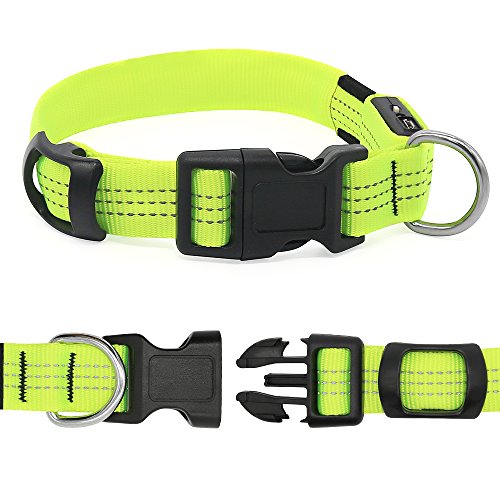 Collar de perro Clan_X LED recargable por USB que brilla en la oscuridad intermitente collar para mascota, collares de perro con luz para mantener a tus mascotas visibles y seguras, S/M/L