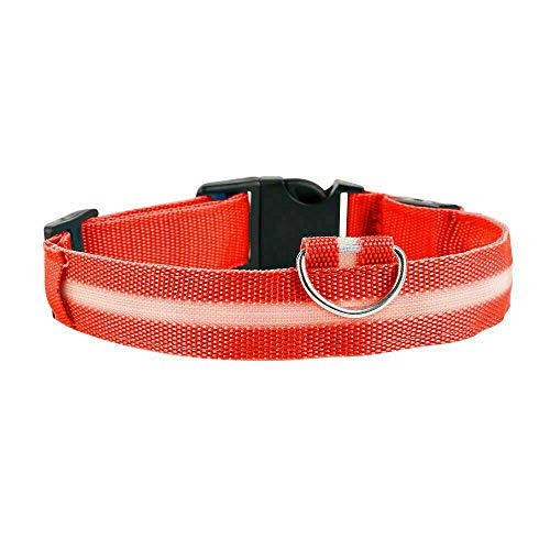 Collar de perro Cocker Spaniel con LED rojo y USB de tamaño M, recargable, luz de seguridad, con luz y cable de carga USB