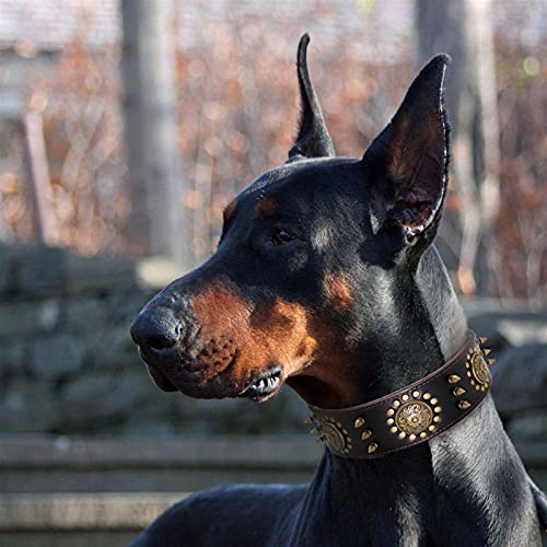 Collar de perro Cuello de perro de cuero de cuero clásico Cuello anti-picadura Cuello de perro Doberman Pastor alemán Bulldog Cuello de perro grande Accesorios para perros Collar de perro de cuero