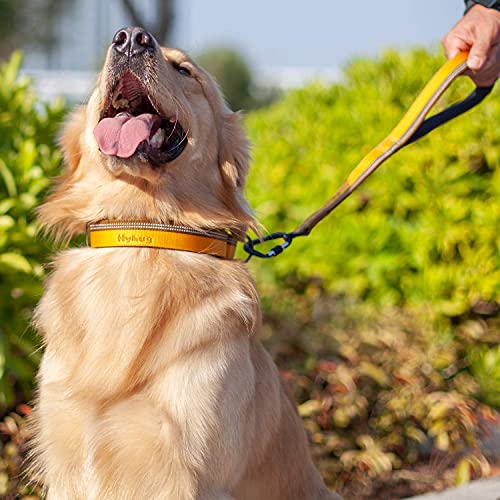 Collar de Perro de martingala Reflectante Hyhug Pets con Nailon de Tejido Jacquard Agradable para Perros de Uso Diario. (Pequeño S, Tapenade)