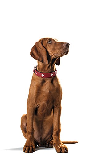 Collar de perro HUNTER Suiza, cuero, 65, rojo / negro