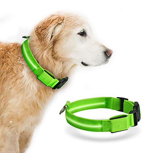 Collar de Perro LED Baytion Collar de Perro Luminoso Recargable USB con Collar Intermitente Recargable e Impermeable (X-Large(42-56cm/28-40kg Dogs))