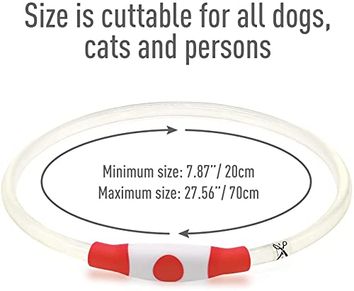 Collar de Perro LED Collares de Perro iluminados Impermeable USB Recargable Glow Safety Collares de Perro básicos para Perros Grandes, medianos y pequeños (Rojo)