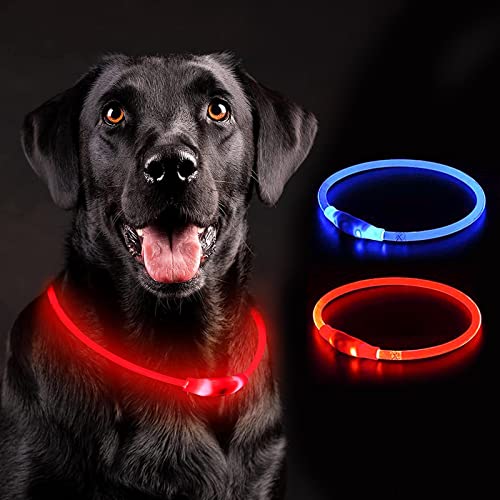 Collar de Perro LED Collares de Perro iluminados Impermeable USB Recargable Glow Safety Collares de Perro básicos para Perros Grandes, medianos y pequeños (Rojo)