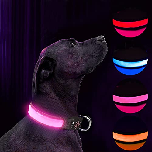 Collar de Perro LED Iluminado Collar de Perro USB Recargable Impermeable,Banda Nocturna para Perros con 3 Modos de Brillo,Hace Que su Perro Sea Visible,Seguro y Visto (Pink, S)