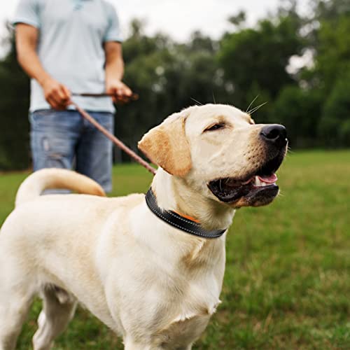 Collar de Perro Suave Acolchado Neopreno Ajustable Collares Reflectantes para Mascotas para Perros PequeñOs Medianos Grandes - Naranja -L