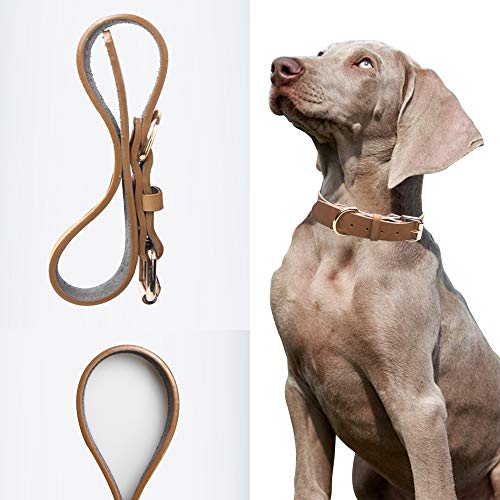 Collar de piel ajustable, cuello de cuero suave y fuerte, collares de perro resistentes para perros de razas pequeñas, medianas y grandes PU (S)