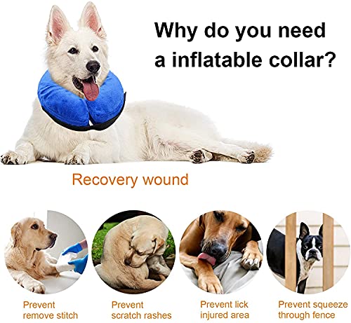 Collar de Recuperación Inflable,Cono de Cuello Ajustablepara Perros,Collares de Perro Básicos Inflables para Mascotas Recuperación de cirugía o heridas (L)