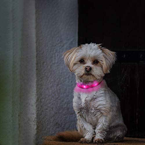 Collar Luminoso de Perro LED para Perros Pequeños Collar de Perro Iluminado para Cachorros, Collar de Perro Intermitente Recargable, Ajustable con 3 Modos Súper Brillante - Rosado