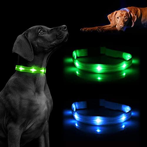 Collar Luminoso para Perro, led, Reflectante, para Perro pequeño Mediano y Grande, tamaño Ajustable, bateria Impermeable y Recargable, Collares electricos Luminosos (S, Verde)