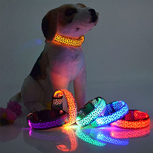 Collar Luminoso Perro de Mascota LED, Leopardo, Collares básicos, Brillante, Seguro 3 Modos, Perros Pequeños, Medianos y Grandes, Recargable USB