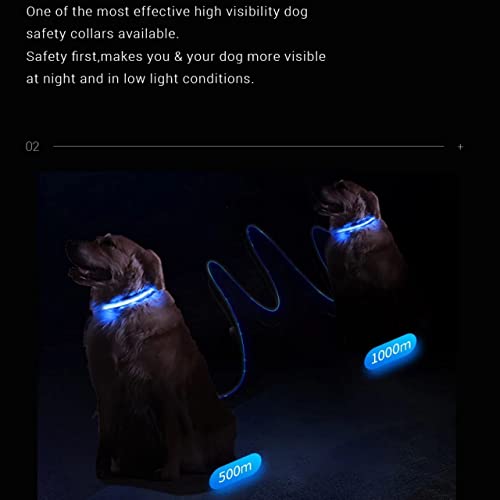 Collar Luminoso Perro, luz LED, Bateria Recargable USB, Ajustable para Todas Las Tallas, pequeño, Mediano y Grande, 3 Modos de luz, Impermeable y Resistente. (Azul)