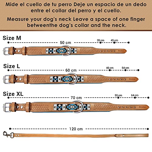 Collar para Perro y Correa de Perro - Pack Ajustable,Hecho a Mano de Cuero. XL:55cm-64cm. Set Completo