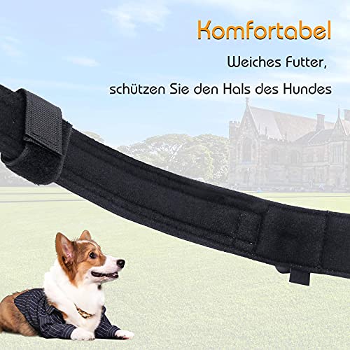 Collar Táctico para Perros Collares de Nailon Medianos Grandes Militar Ajustable Mascotas XL Negro