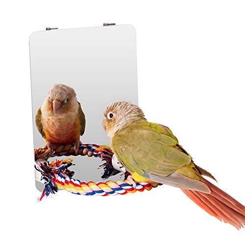 Colorday 7 Pulgadas (18cm) de Acero Inoxidable Espejo de Aves con la Cuerda Perca, pájaro Juguetes Swing, cómodo para la Perca Gris Africano Parakeet Cockatiel Conure lovebir Finch canarias