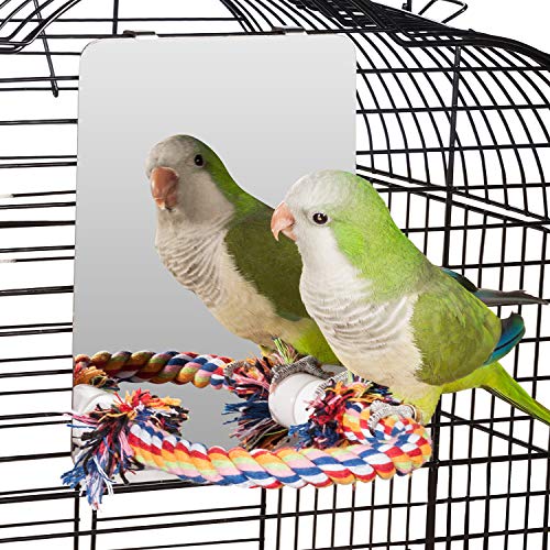 Colorday 7 Pulgadas (18cm) de Acero Inoxidable Espejo de Aves con la Cuerda Perca, pájaro Juguetes Swing, cómodo para la Perca Gris Africano Parakeet Cockatiel Conure lovebir Finch canarias