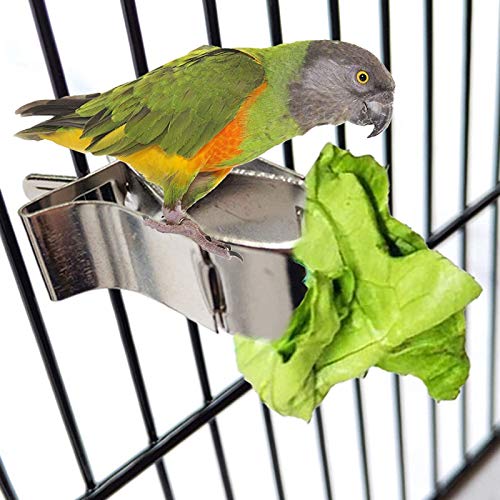 Comedero de Pájaros,3 Pcs Aves Comida Titular Loro Fruta Vegetal Clip Alimentador Dispositivo Pinza Abrazadera Accesorios Jaula de Pájaros para Pájaros Pequeños Loros Hámsters y Otros Animale Pequeño