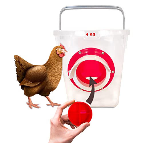 Comedero para gallinas Anti Desperdicio 4 KG con Sistema Anti Lluvia y tapón Anti Roedores. Aprovecha el 100% del pienso