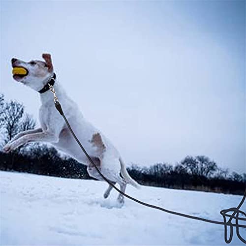 Correa de perro Correa correa de nylon rastreo largo cuerda redonda para caminar al aire libre entrenamiento para mascotas correas de plomo para pequeños perros grandes 5m / 10m / 15m Fácil de usar y