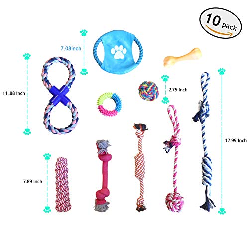 CRAZY AL'S® Juego de 10 juguetes para perros, juego de juguetes para perros de tamaño mediano a pequeño R10A (juego de 10)