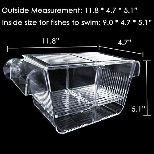 Criadero de peces Warmtone: Caja flotante de cría de peces con rejilla extraíble