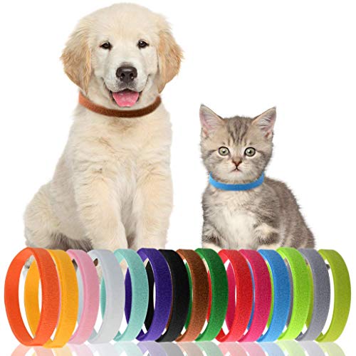 CYWVYNYT 15 collares de identificación para cachorros, ajustables, suaves, para cachorros y gatitos, 15 colores
