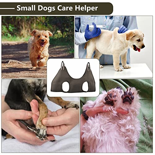 DaizySight Kit de Suministros de Hamaca para Perros pequeños, tamaño S, arnés para Colgar para Recortar uñas, Aseo de Mascotas, Ducha y Accesorios de baño