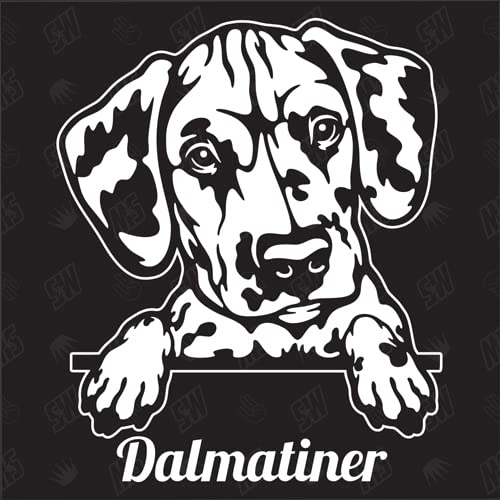Dalmatiner versión 2 - pegatina, dálmata, cachorro, pegatina para perro, pegatina para coche, razas de perros, mestizo, mezcla, animales, mascota (también es posible con desear)