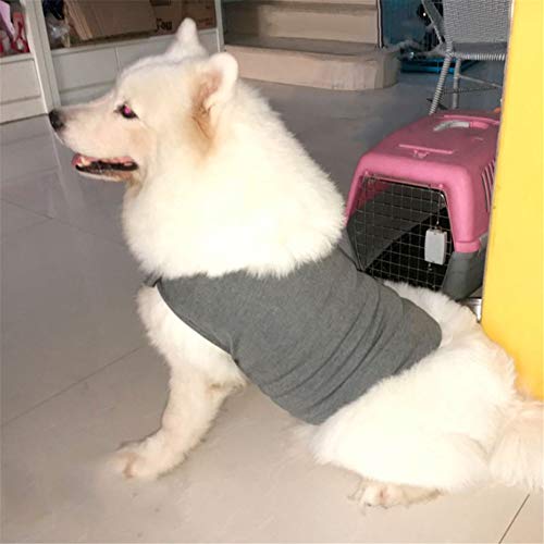 DC CLOUD Ropa para Perros Ropa Mascotas Perros Pequeños Perro recuperación Trajes Camiseta médica para Perros Chaqueta antiansiedad para Perro Light-Gray,31