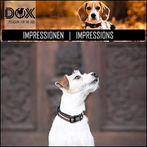 DDOXX Collar Perro Air Mesh, Ajustable, Reflectante, Acolchado | Muchos Colores & Tamaños | para Perros Pequeño, Mediano y Grande | Collares Accesorios Gato Cachorro | Negro, S